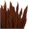 Dried Plant Bamboo Natural Foliage with Long Stems